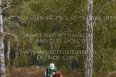 Carla Bruni R Sonja BUCK