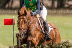 Carla Bruni R Sonja BUCK