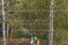 Ideal de Luze Gp Marie DUEKER