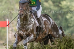 Cox Orange Finja TIMM