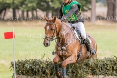 Clover 15 Balazs KAIZINGER