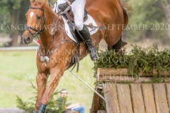 Clover 15 Balazs KAIZINGER