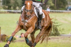 Clover 15 Balazs KAIZINGER