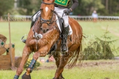 Clover 15 Balazs KAIZINGER