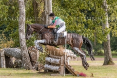 Lanndis Petr VESELOVSKY