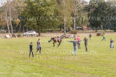 Clara Julia WARNER Impressionen Freilaufend