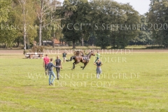 Clara Julia WARNER Impressionen Freilaufend