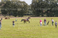 Clara Julia WARNER Impressionen Freilaufend