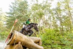 Newtownbarry Willow Stephan DUBSKY