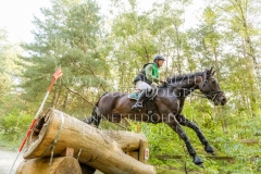 Newtownbarry Willow Stephan DUBSKY