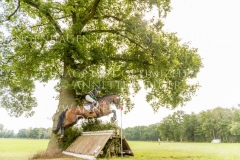 D'Accord 70 Svenja ECKERT