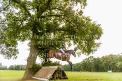 D'Accord 70 Svenja ECKERT