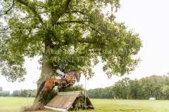 Power Supreme Nicolai ALDINGER