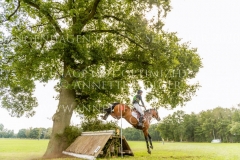 Power Supreme Nicolai ALDINGER