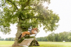 Chiara d'Amour Jana LEHMKUHL