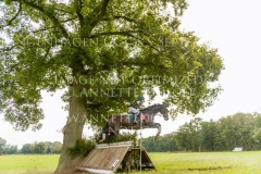 Schoensgreen Continus Christina SCHOENIGER