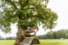 Clover 15 Balazs KAIZINGER