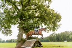 Clover 15 Balazs KAIZINGER