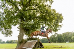 Clover 15 Balazs KAIZINGER