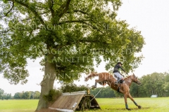 Clover 15 Balazs KAIZINGER