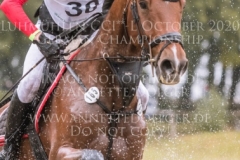 Queastrio Lars SIEGLE