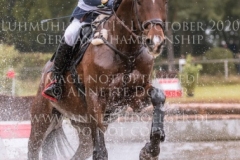 Horseware Nobleman Catharina DANNENMANN