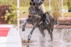 Shine Forever Heika HAENEL