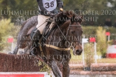 Shine Forever Heika HAENEL