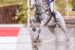 Hulingshof's Jogi Tabea HOELSCHER