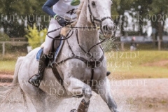 Hulingshof's Jogi Tabea HOELSCHER