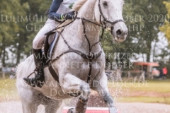 Hulingshof's Jogi Tabea HOELSCHER