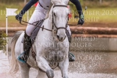 Casino Express Magdalena STEINLE