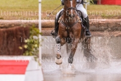 Clemens 65 Meike MARTHIENSEN