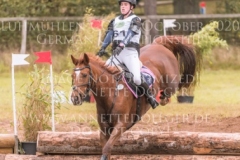 Celebration II Antonia KNAAK