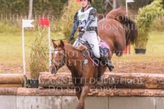 Celebration II Antonia KNAAK