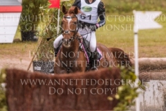 Celebration II Antonia KNAAK