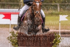 Celebration II Antonia KNAAK