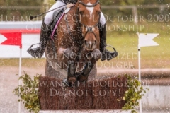 Celebration II Antonia KNAAK