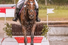 Celebration II Antonia KNAAK