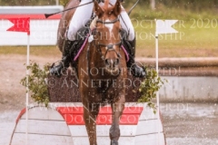 Celebration II Antonia KNAAK