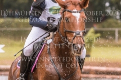 Celebration II Antonia KNAAK