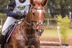 Celebration II Antonia KNAAK