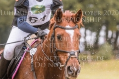 Celebration II Antonia KNAAK