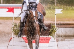 Lariostea H Victoria WEYERS