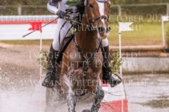 Lariostea H Victoria WEYERS