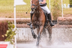 Q Base Marie Sophie ZAUBER