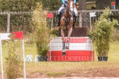 For Ever Pleasure N Pia SCHMUELLING