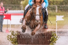 For Ever Pleasure N Pia SCHMUELLING