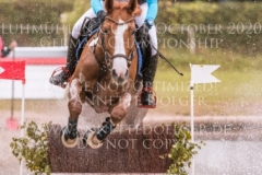 For Ever Pleasure N Pia SCHMUELLING