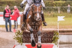 Horseware's Barny Kaya THOMSEN